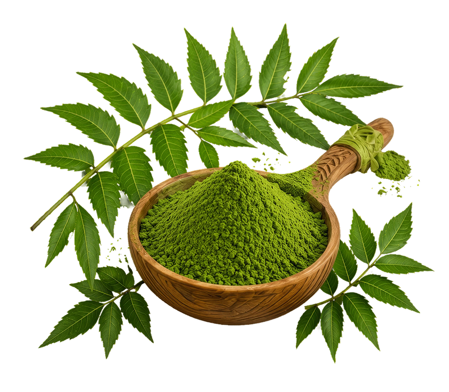 <p>Nature's pharmacy, packed in one leaf</p>