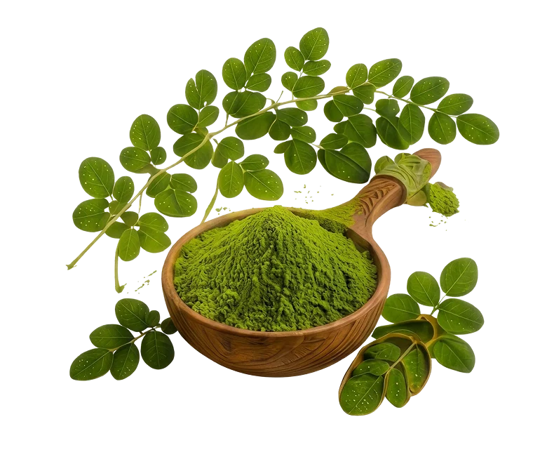 Moringa Leaf Powder - Gram for gram, one of the richest greens on earth